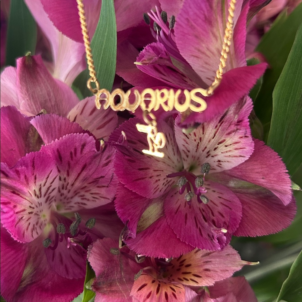 Vintage Age of Aquarius Necklace